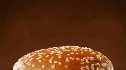 Burger King Bacon Cheese Burger GIF