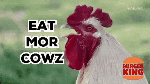 Burger King Chick Fil A GIF