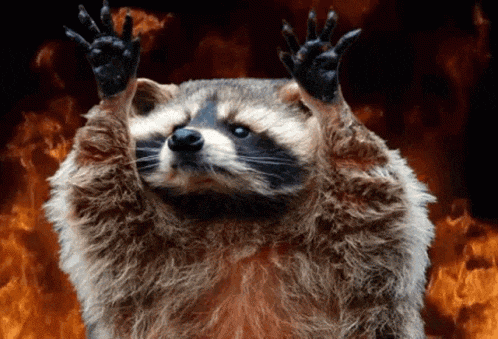 Burn Mmm Burn GIF