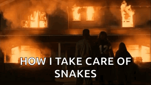 Burning Burn It Down GIF