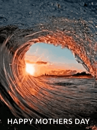 Burnt Orange GIF