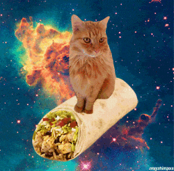Burrito GIF