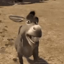 Burro Do Shrek GIF