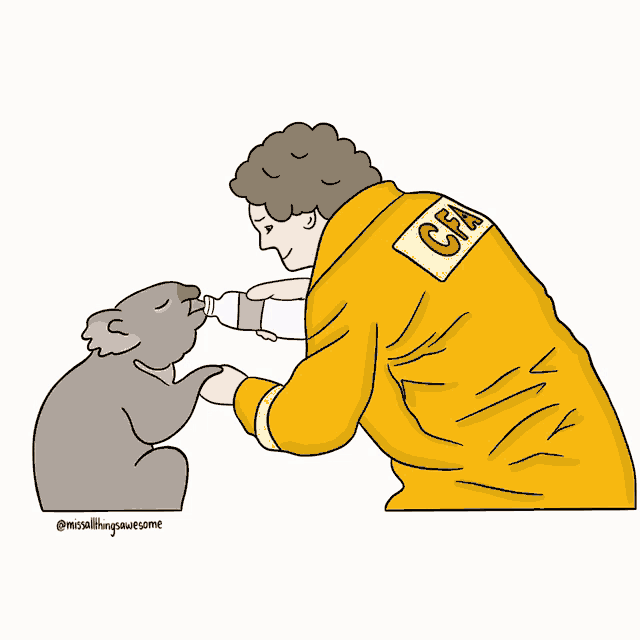 Bushfire Australia GIF