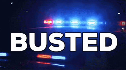Busted Arrest GIF