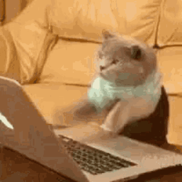 Busy Type GIF