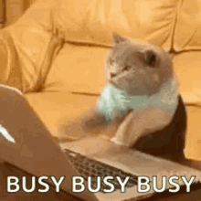 Busy GIF