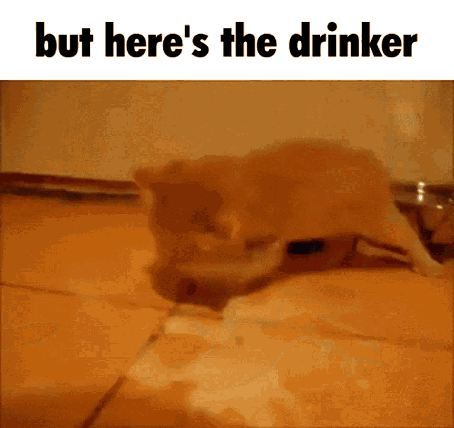 But Heres GIF