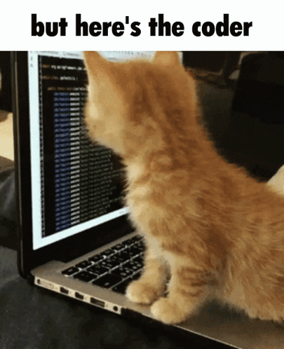 But Here'S The Coder GIF. This 405 x 498 animated GIF is part of our soy programador collection. Related themes include cat. Created by Unfowoseen. View the…