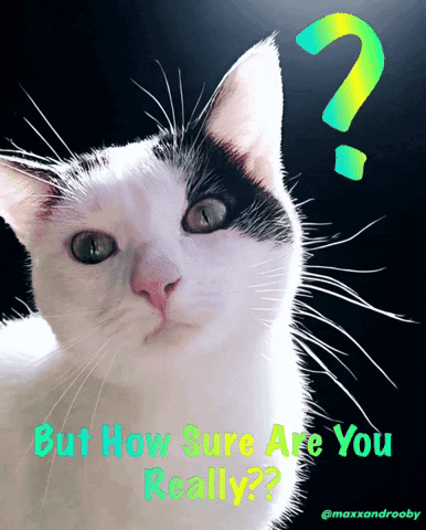 But How Sure Are You Really Are You Sure GIF