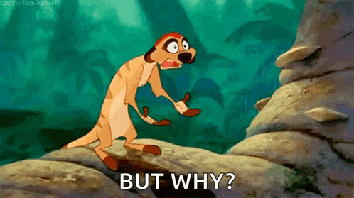 But Why Why GIF
