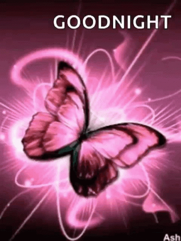 Butterflies Beautiful GIF