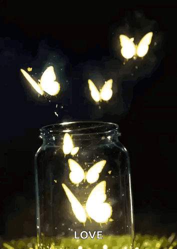 Butterflies Butterfly GIF