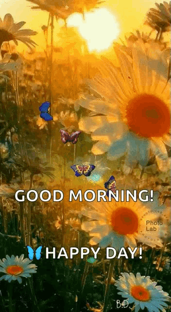 Butterflies Fly GIF