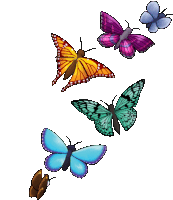 Butterflies Fly Sticker