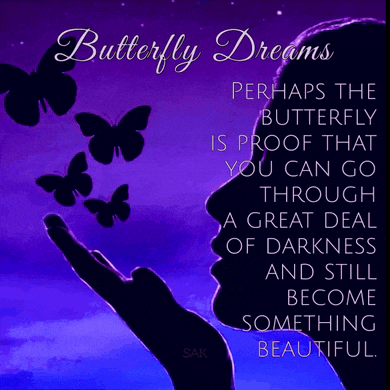 Butterfly Butterflies Meme