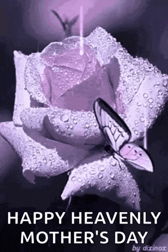 Butterfly GIF