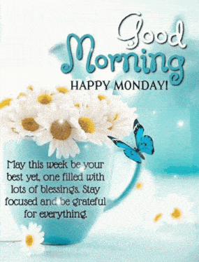 Butterfly Daisy Flower Monday Good Morning Blessings Grateful GIF