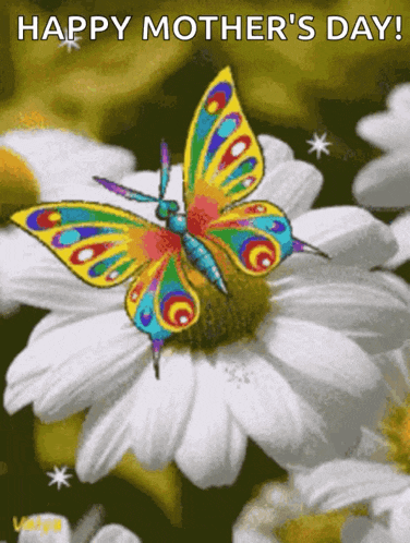 Butterfly GIF