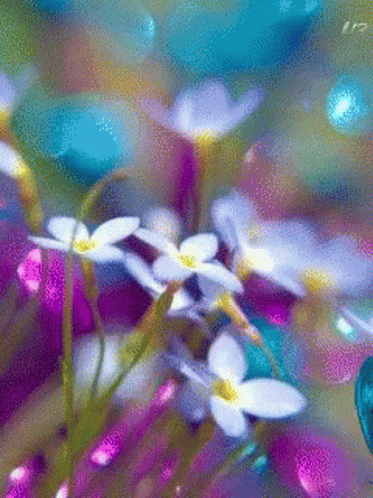Butterfly Flower GIF