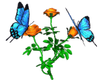 Butterfly Flowers Sticker