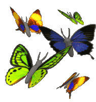 Butterfly Flying Sticker