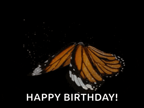 Butterfly Flying GIF