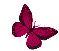 Butterfly Freedom Sticker