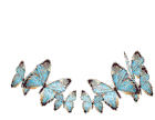 Butterfly Freedom Sticker