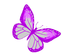 Butterfly Freedom Sticker