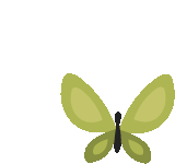 Butterfly Sticker