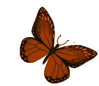 Butterfly Orange Sticker
