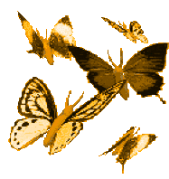 Butterfly Star Sticker