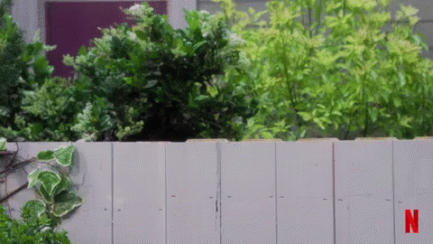 Buur GIF. This 480 x 270 animated GIF is part of our sneaking up on someone collection. View the original animation, share it, or browse related GIFs.