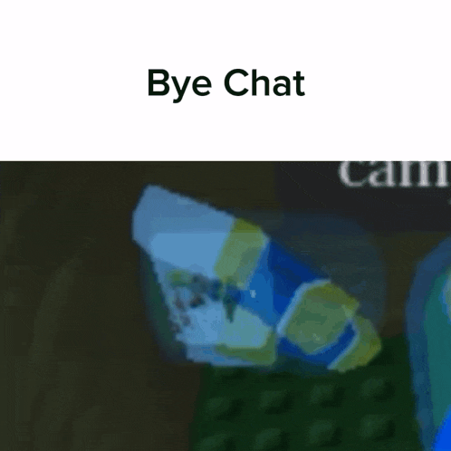 Bye Bye Chat GIF