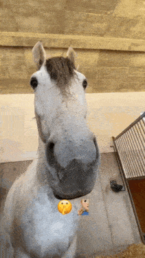 Bye Bye Mogged GIF