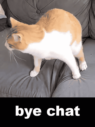 Bye Cat GIF