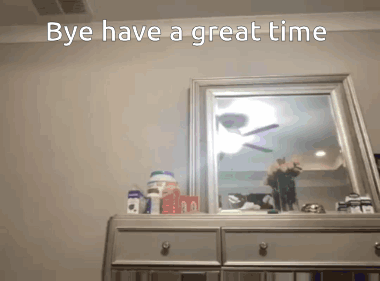 Bye GIF