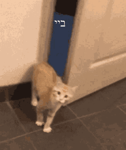 Bye Goodbye GIF