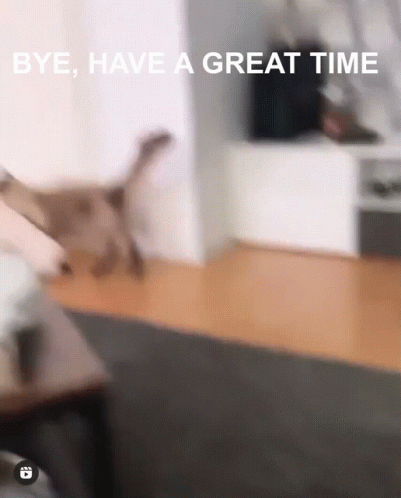 Bye Have A Great Time Shiro GIF