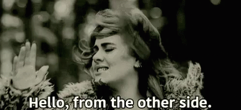 Bye Hello From The Other Side GIF