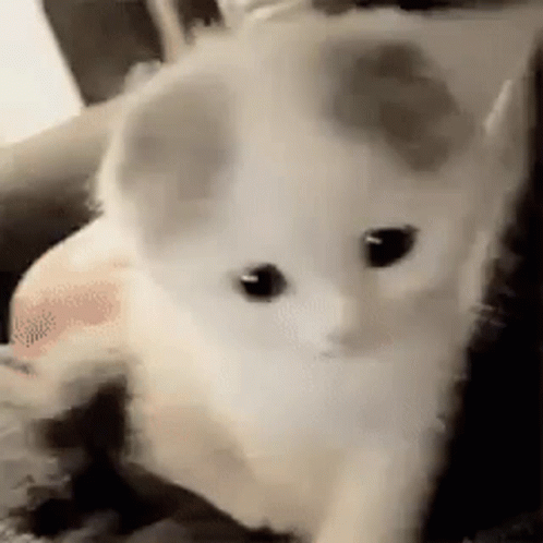 Byuntear Sad GIF