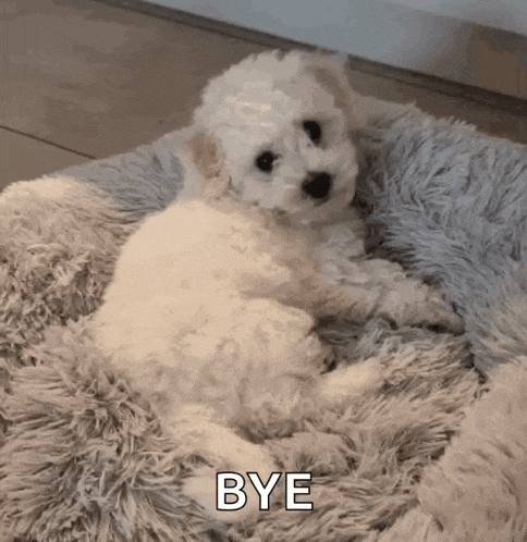 Cachorrinho Tchau GIF
