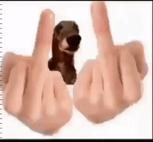 Cachorro Arrombado GIF