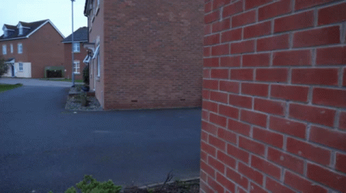 Caddicarus Sneaking GIF. This 498 x 278 animated GIF is part of our sneaking up on someone collection. Related themes include smirk, sneaking. Created by…