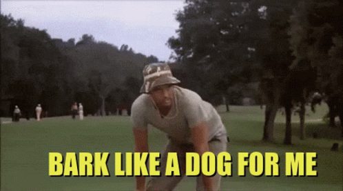 Caddy Shack Billmurray GIF