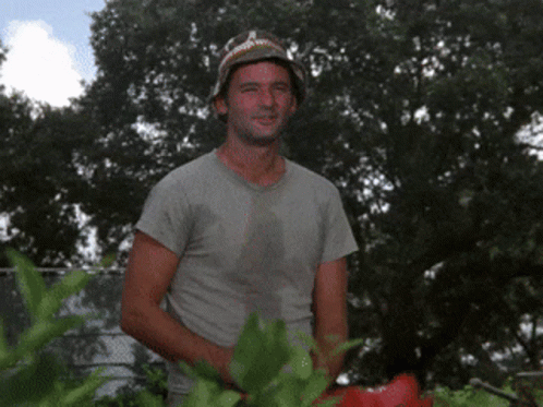 Caddyshack Bill GIF