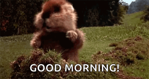 Caddyshack Gopher GIF