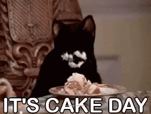 Cake Cat GIF