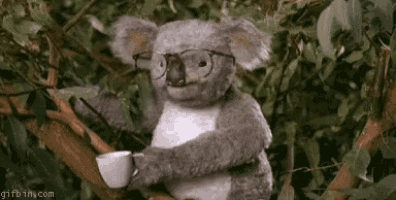Cali008 GIF
